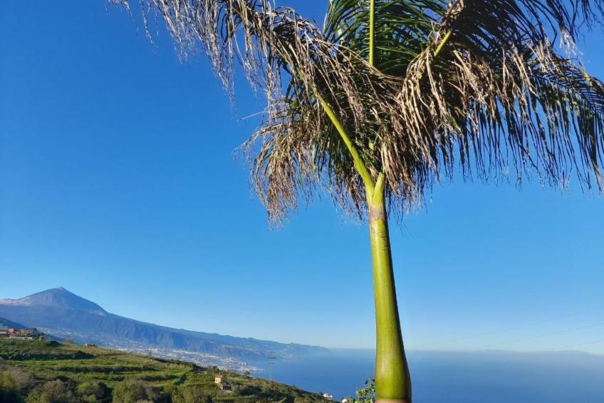 'Chic Escape Villa': Design mit Meerblick - foto 8