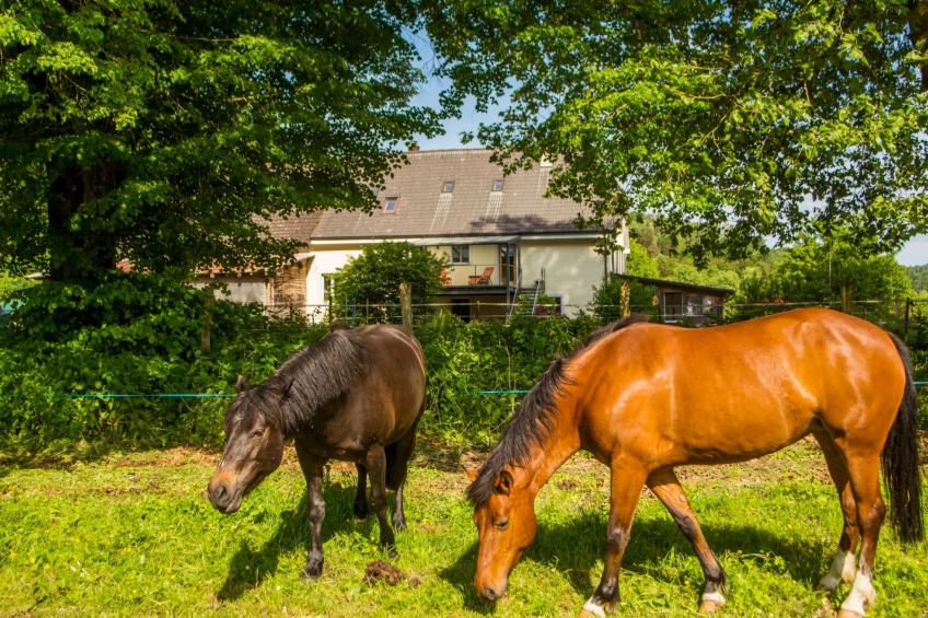 Leben "Im Herzen der Farm" - foto 12