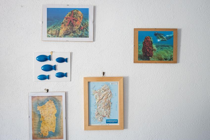 Solanas mare - foto 11