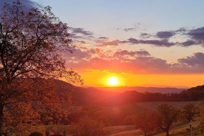 Chalet Staufenhof - foto 38