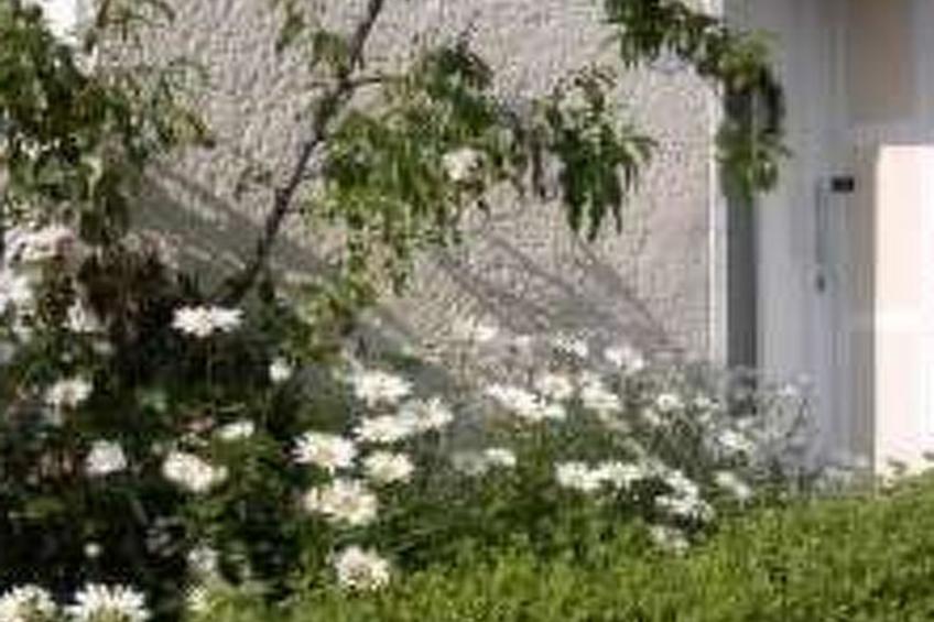 Auszeit Trittenheim - foto 11