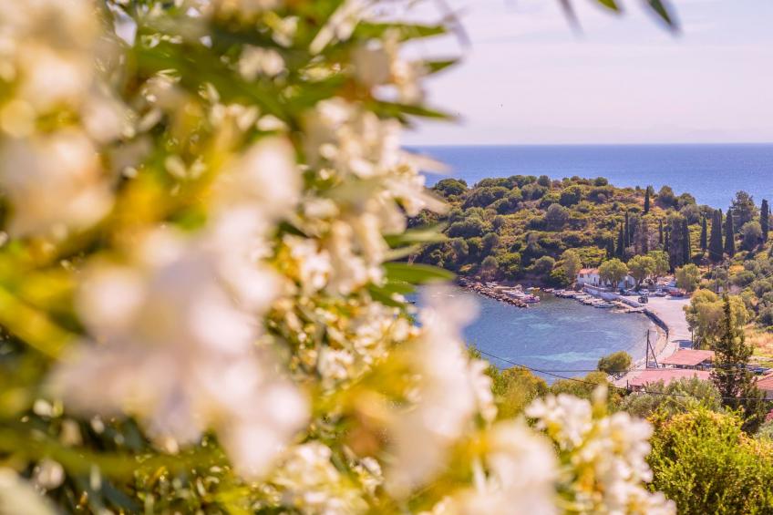 "Blue Villa" - foto 26