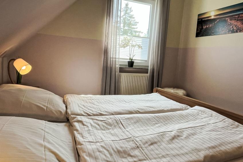 Möwen und Muschel Nest - foto 39