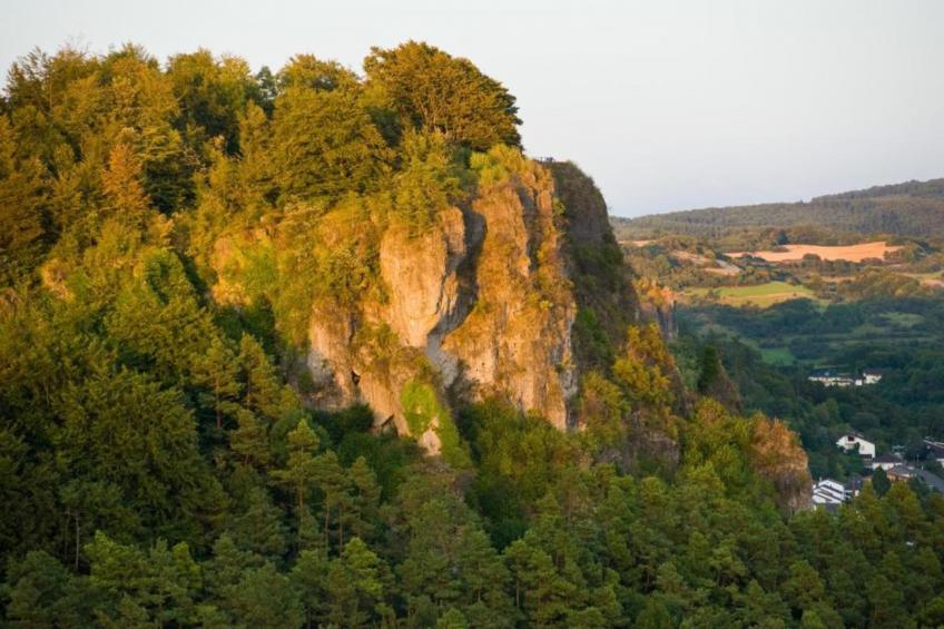 Eifel-Ferienhaus Rita Romag - foto 35