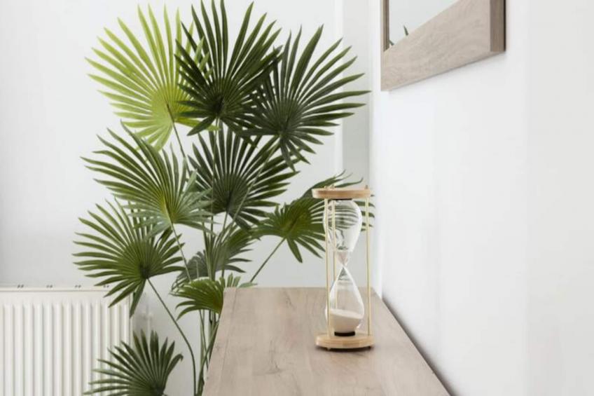 La Terrasse - foto 24