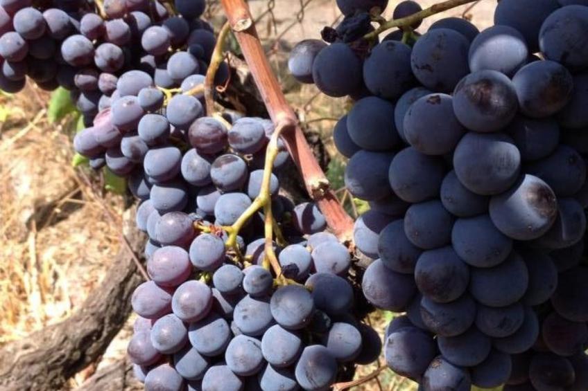 Gemütliches Appartement in Castiglione Di Sicilia mit Privatem Pool - foto 25