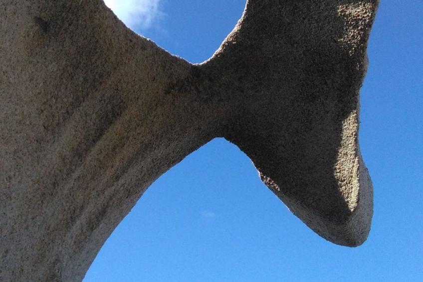 Stazzo mit Garten in Luogosanto - foto 37