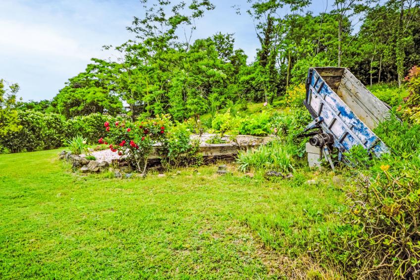 Douce campagne - foto 18