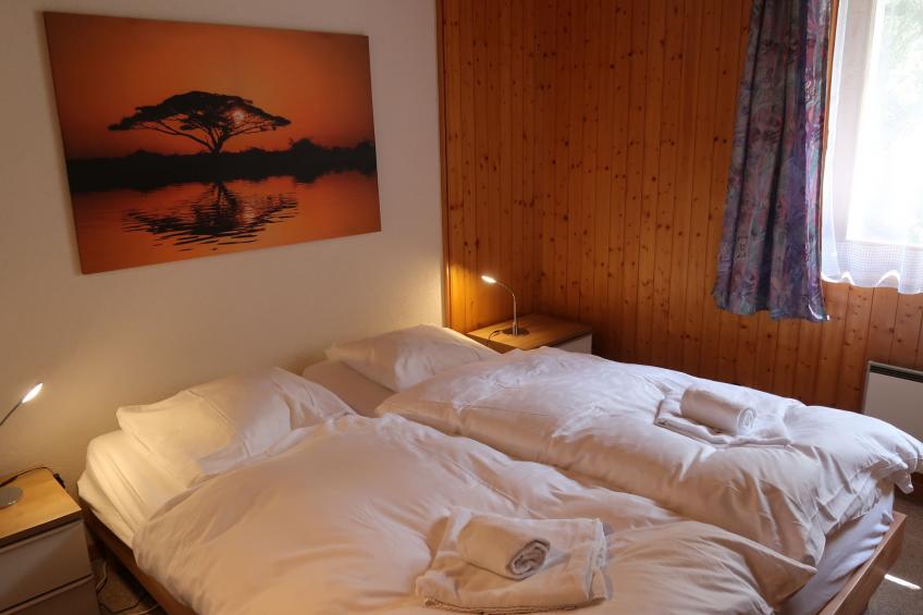 Haute-Nendaz (Siviez) (SIV135) - foto 5