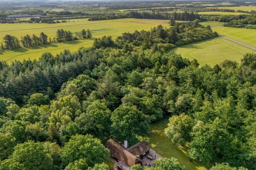 "Fina" - 15km from the sea in Western Jutland - foto 8