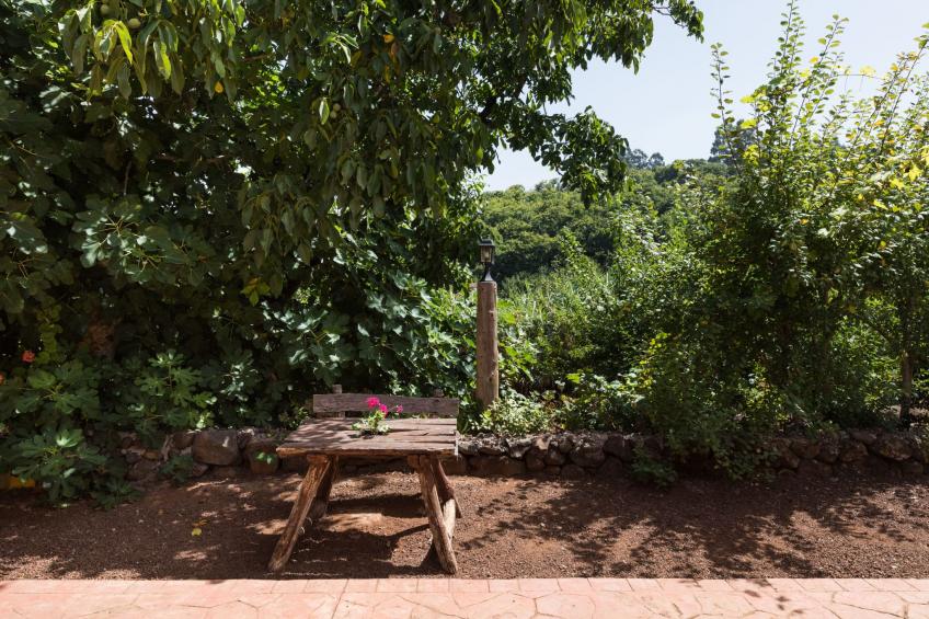 Finca mit Pool - foto 24