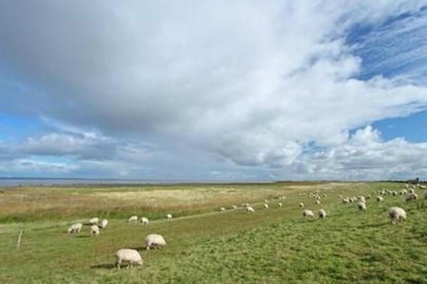 Altes Pastorenhus - foto 30