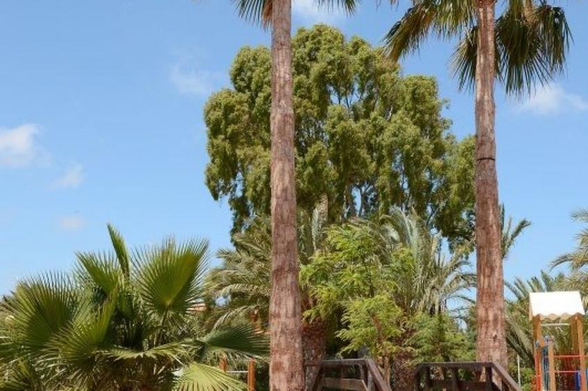 Violeta 17 - foto 82