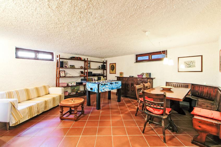 Olivo - foto 12
