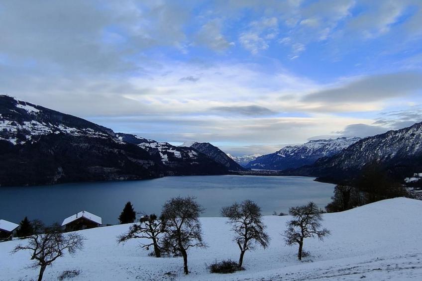 Traumblick Krattigen - foto 24