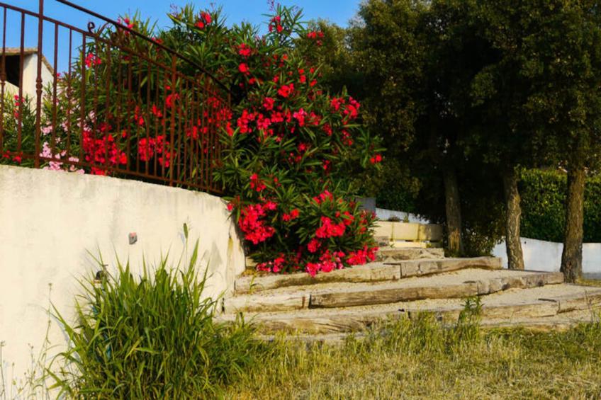 Villa De Campagne - 8 Pers - Vue Sur Les Mimosas - foto 35