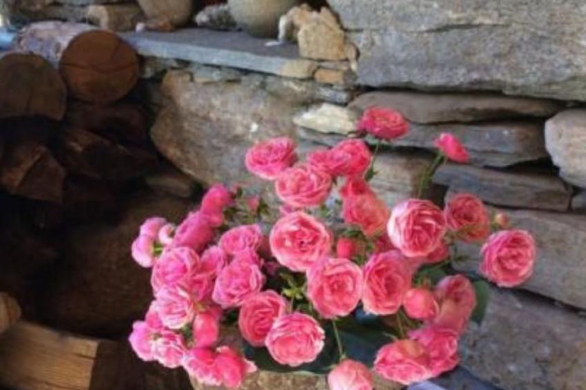 weg von der Zuvielisation - foto 9