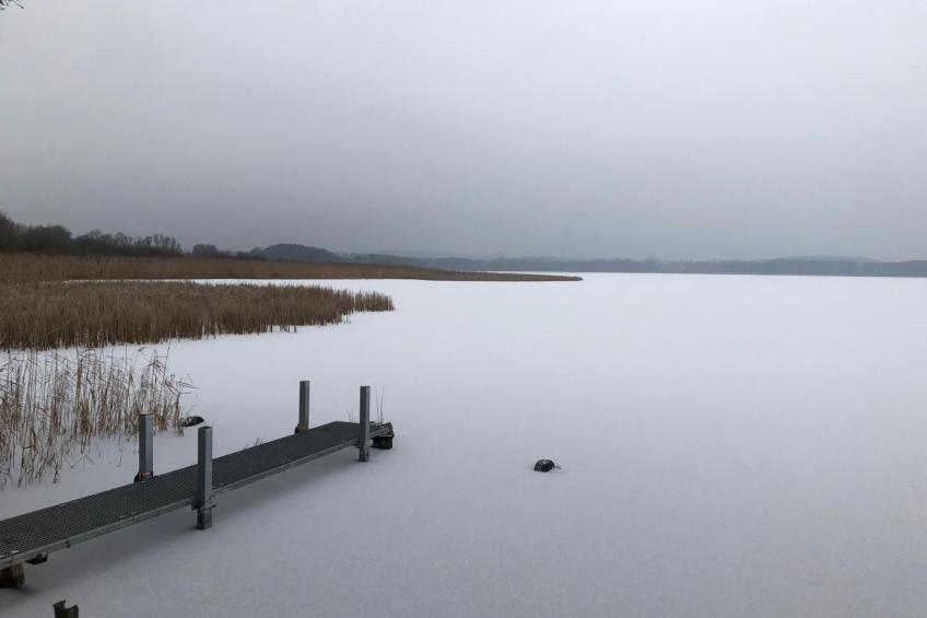 mit Sauna und Kaminofen - foto 34