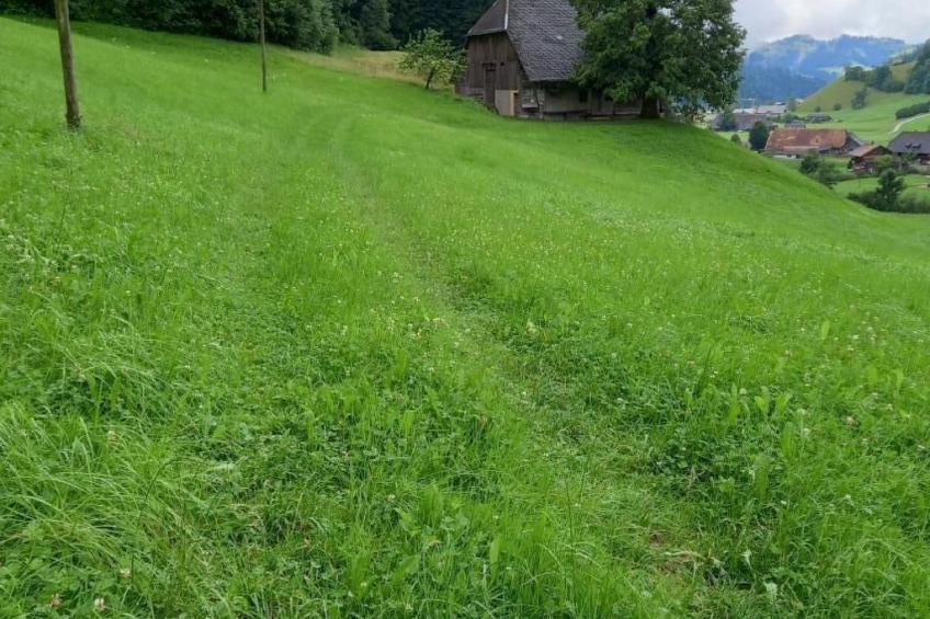 Antikes Ferienhaus - foto 41