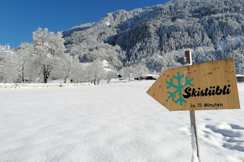 Mattishüüsli - foto 27