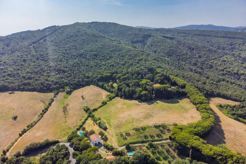 Podere gli Olivi - foto 36