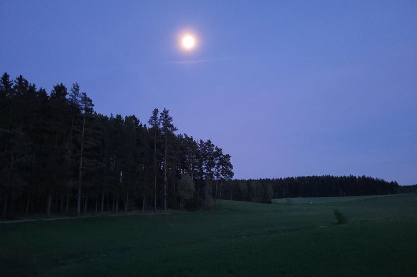 Fichtel-Pod gegen Aufpreis mit Sauna oder Hot Tub - foto 16