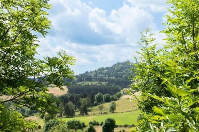 Gîte de France La barrina 2 épis - foto 25