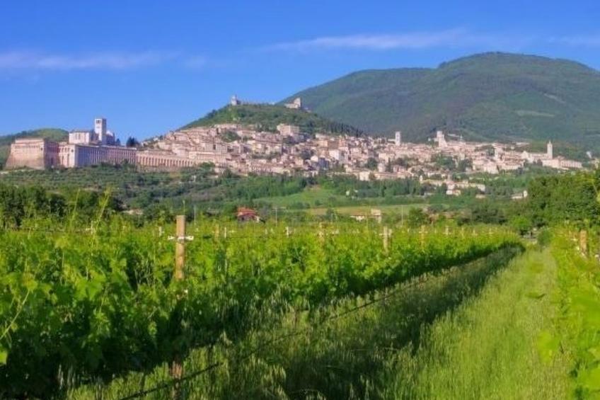 All Comfort Apartment, nur 4KM von Assisi entfernt - foto 16