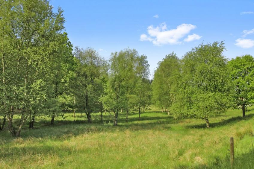 "Terese" - 45km from the sea in Western Jutland - foto 22