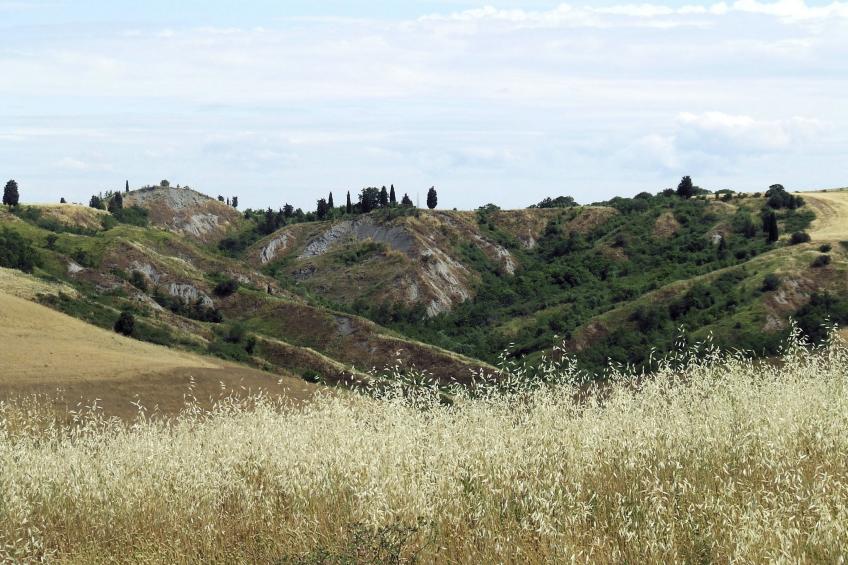 Casa Francesca 1 e 2 - foto 33