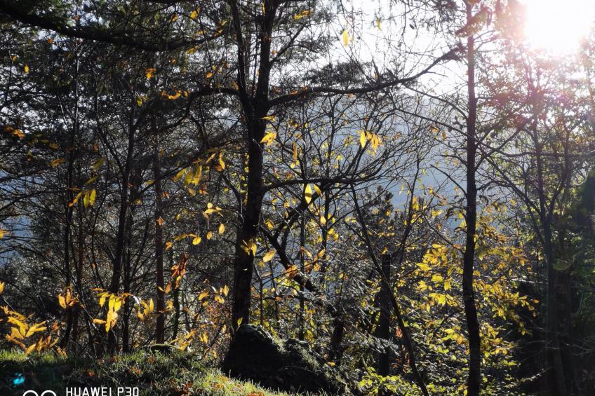 Chalet 'Perle des Höhenweges' - foto 20