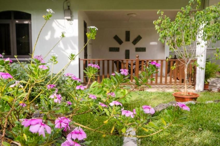 Appartement 2 mit Gartenblick