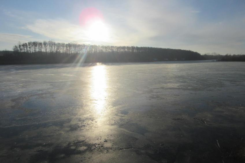 Seehaus Seepferdchen - foto 43