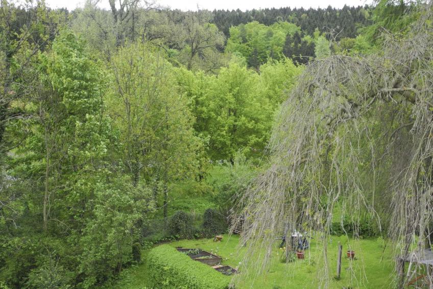 Kleine, gemütliche Ferienwohnung im Erholungsort - foto 8
