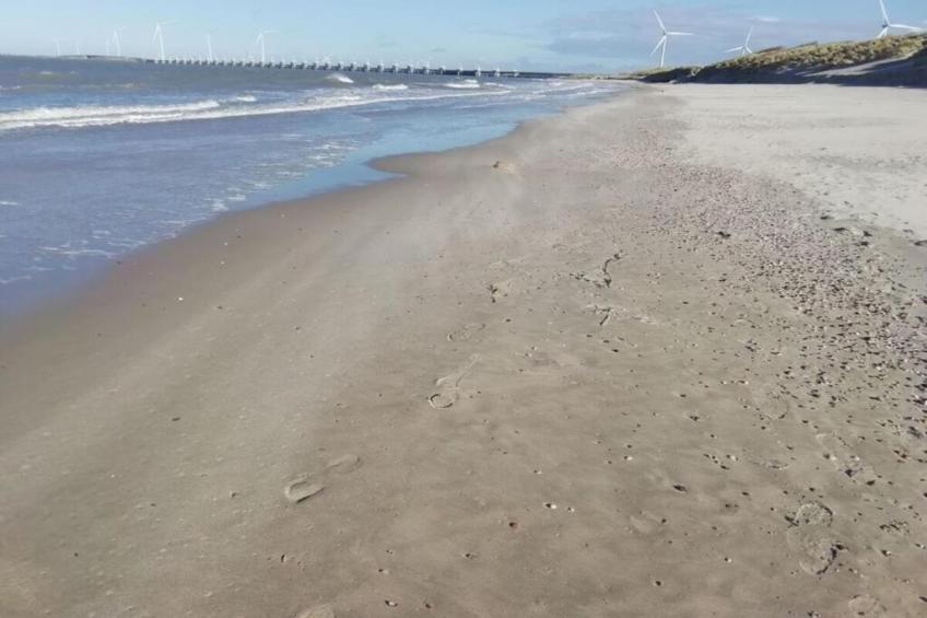 Noordzee Résidence De Banjaard 15 - foto 25