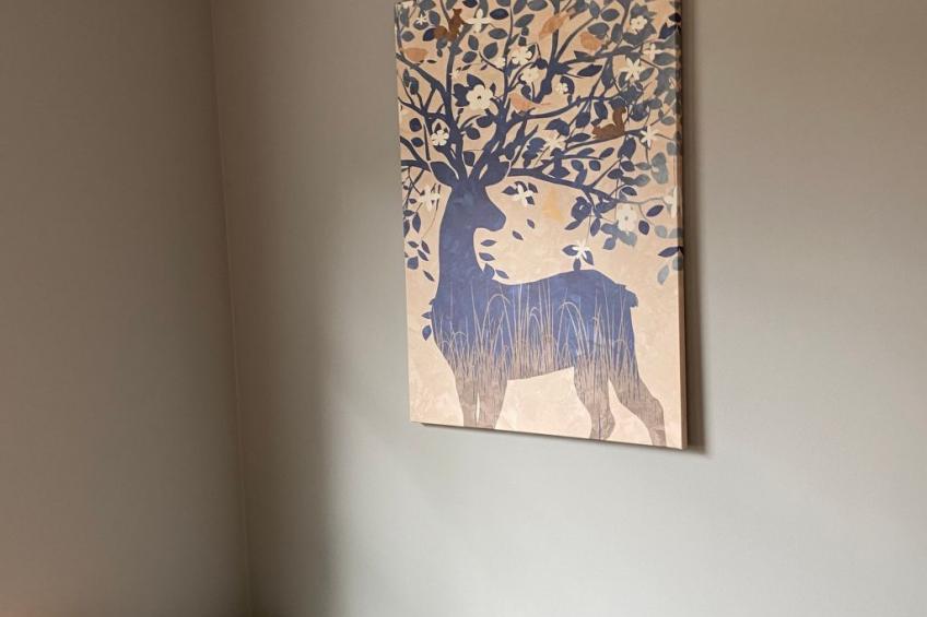 Eifelcottage Rotkehlchen mitten in der Natur - foto 18