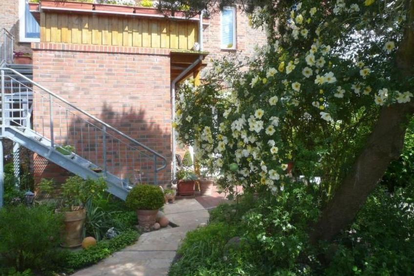 Charmante Wohnung in Dassow mit Terrasse und Grill - foto 5