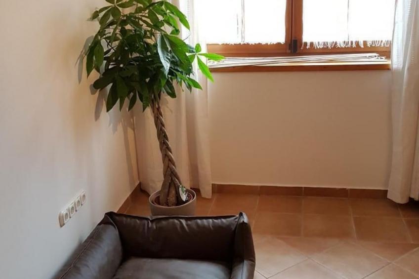 in Lócs mit Privatem Pool - foto 22