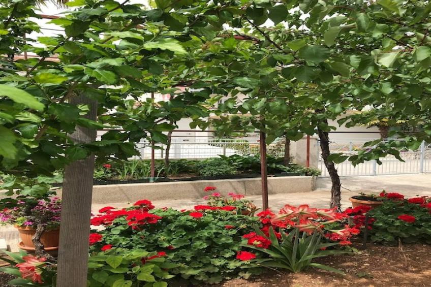 Apartments Villa Tanja - Two Bedroom Apartment with Terrace - foto 6