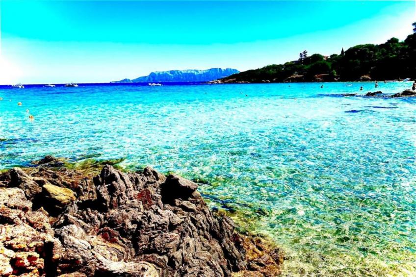 Cugnana Verde Bilo 4 BIS - foto 20