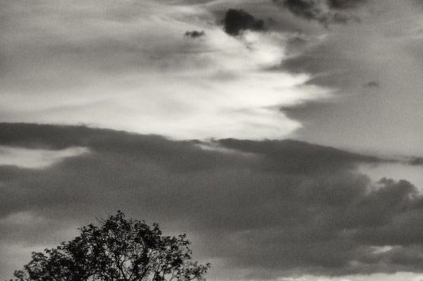 Il Mandorlo für 8 Personen - foto 14