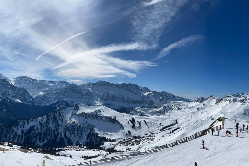 Peak App., Morgins - foto 28