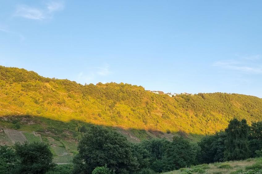 Moselschiefer-Traumferienwohnung am Moselufer - foto 22