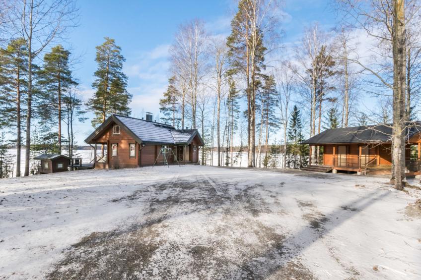 Puolen hehtaarin metsä - foto 3
