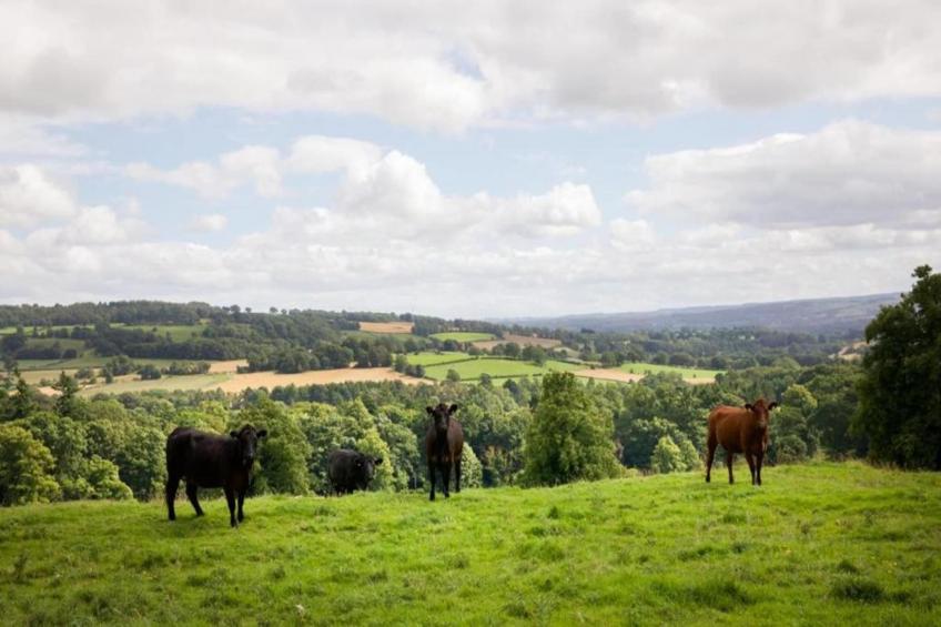 Blackcleugh Glamping - foto 19