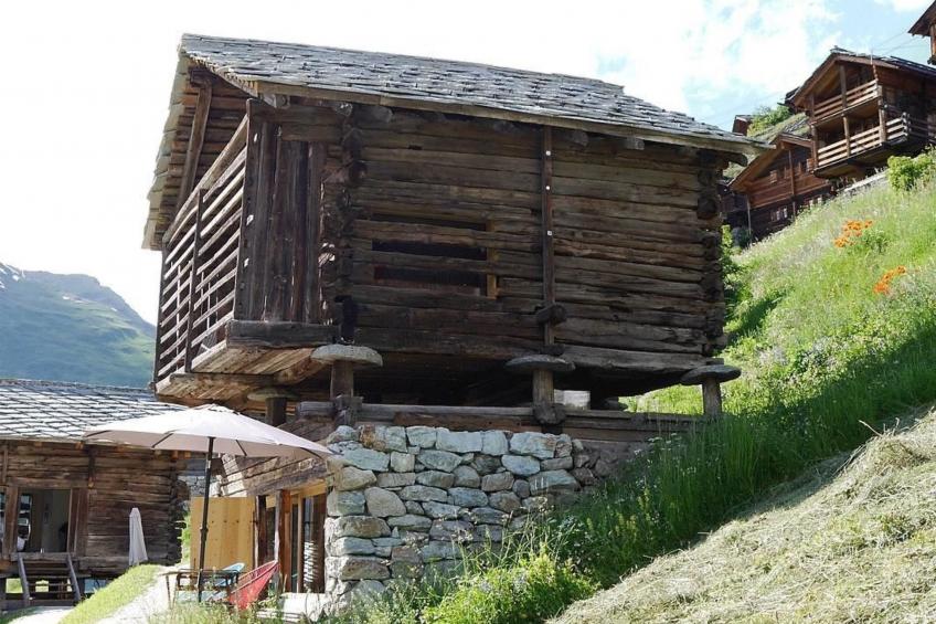 Mayen an Olivier - foto 19