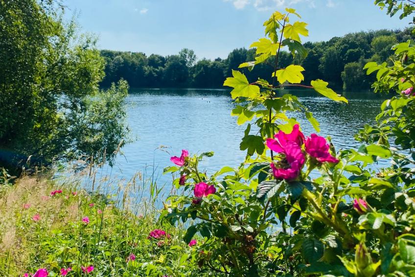 Freistehendes Friesenhaus Heimathafen - foto 17