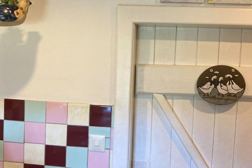 Reetdachkate in Stadland-Seefeld - foto 11