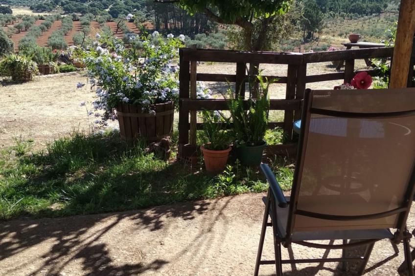 Finca El Chorrillo Studio - foto 4