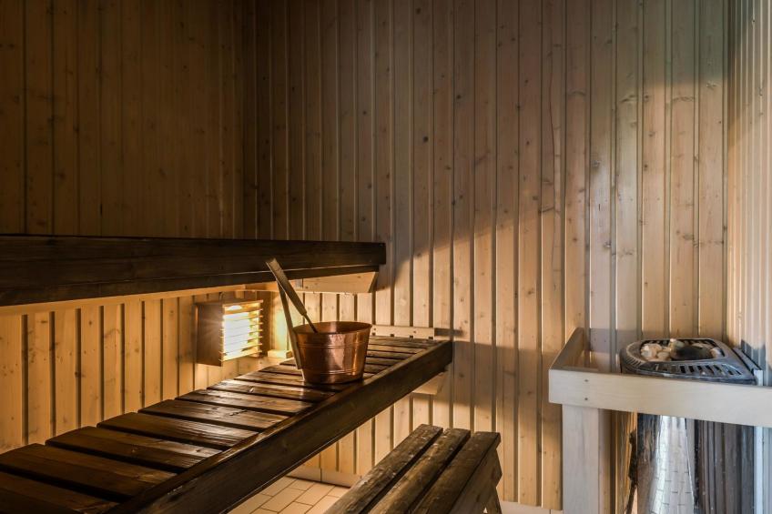 Villa pääsky - foto 29